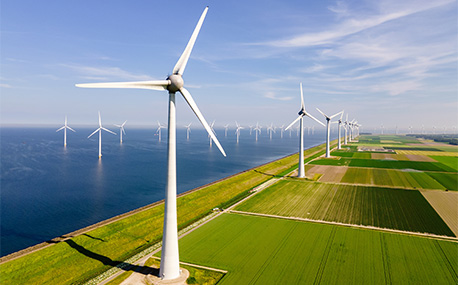 Wind Farm Optimization