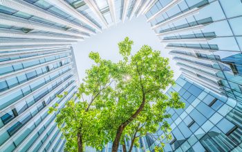 Greening the Cloud – A cultural change that will pay off