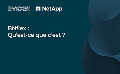 BNflex : qu'est-ce que c'est ?